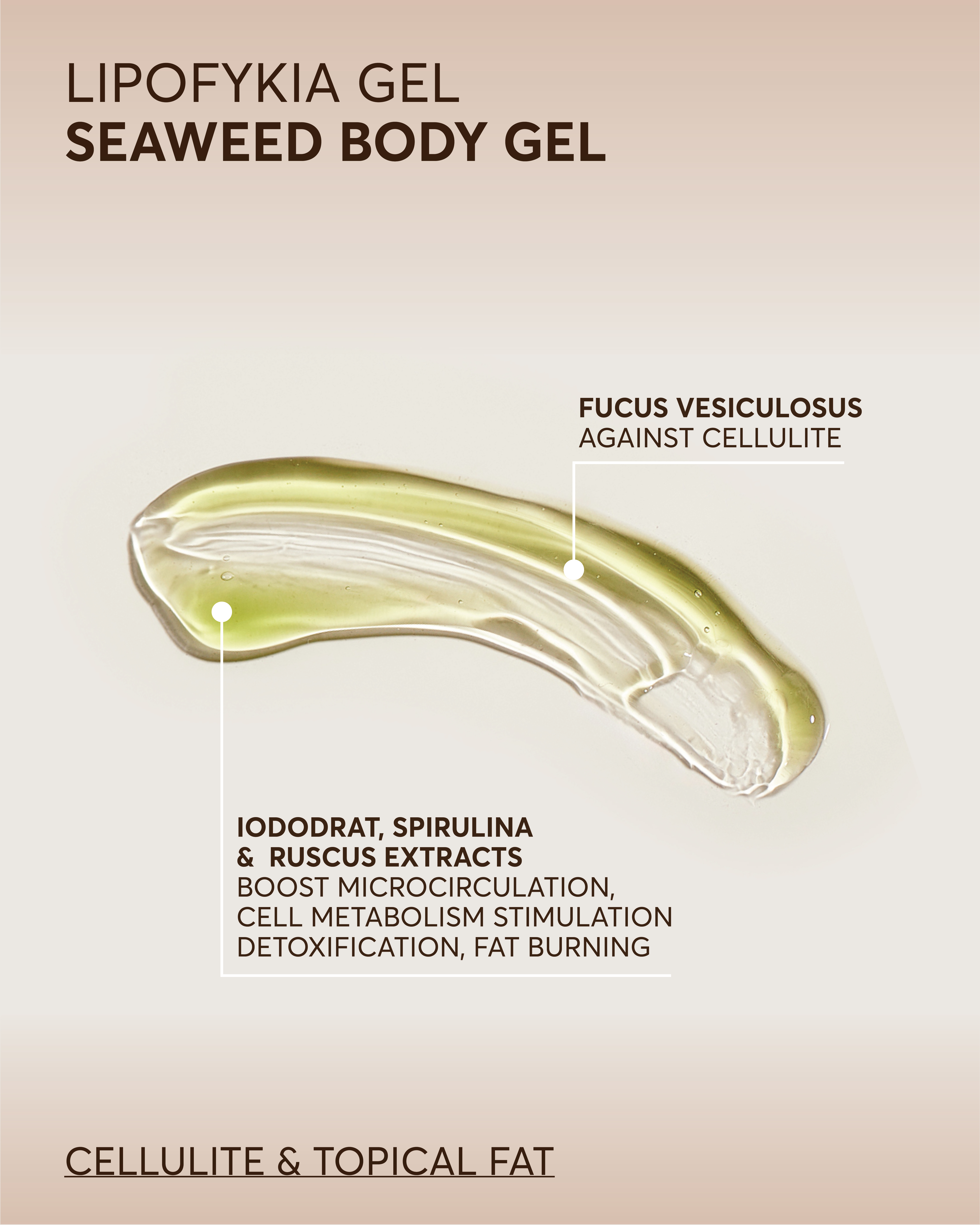 Lipofykia Gel